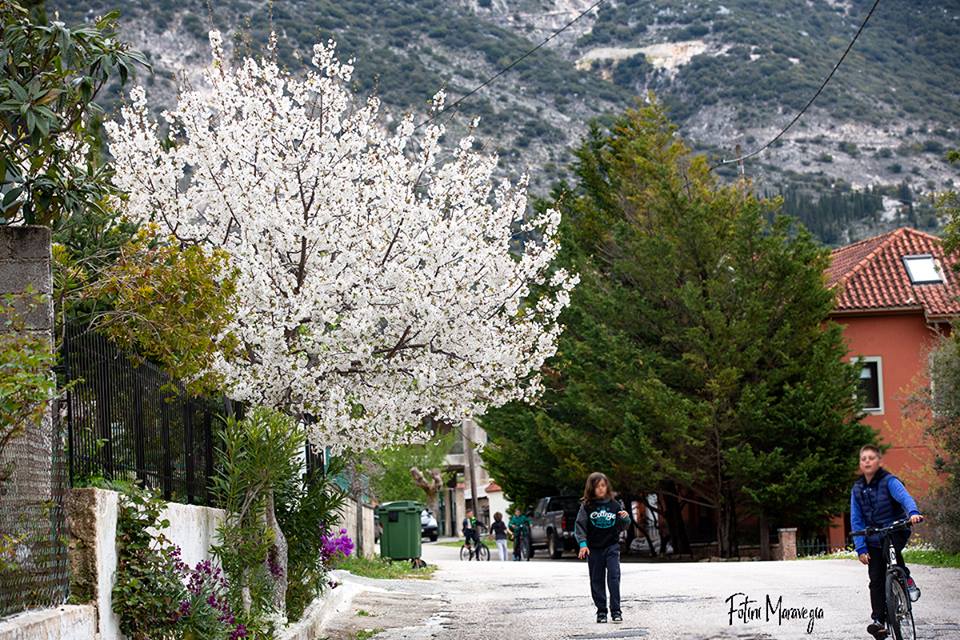 Όμορφη γειτονιά την άνοιξη στα Βαλσαμάτα!