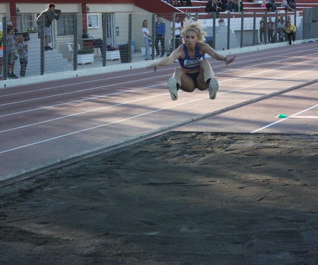 Vergoteia 201911
