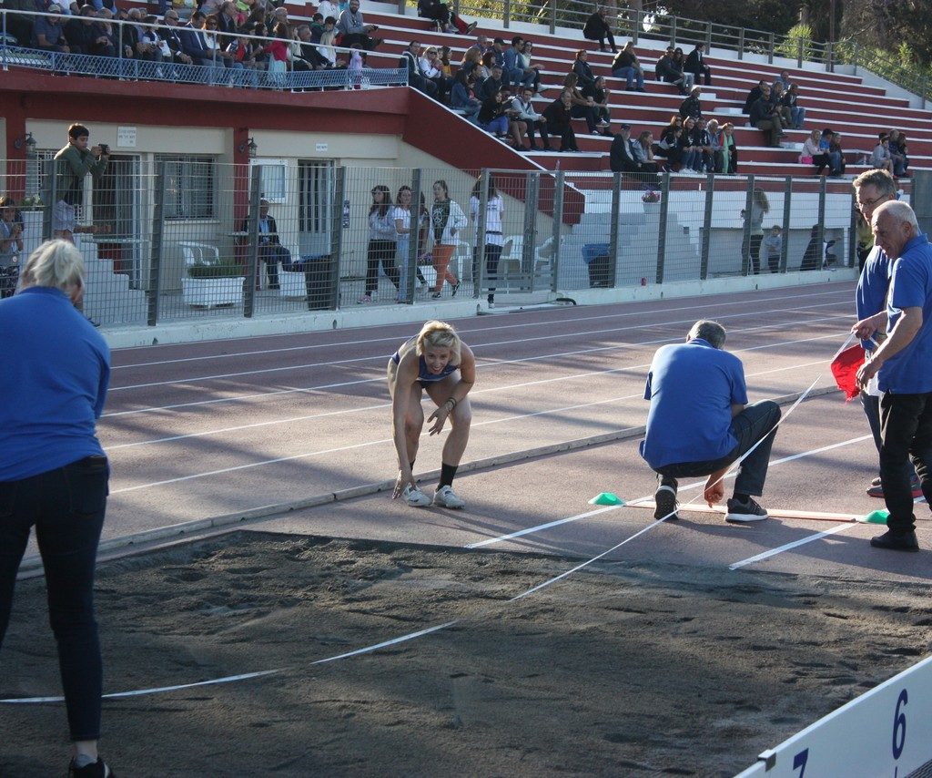 Vergoteia 201912