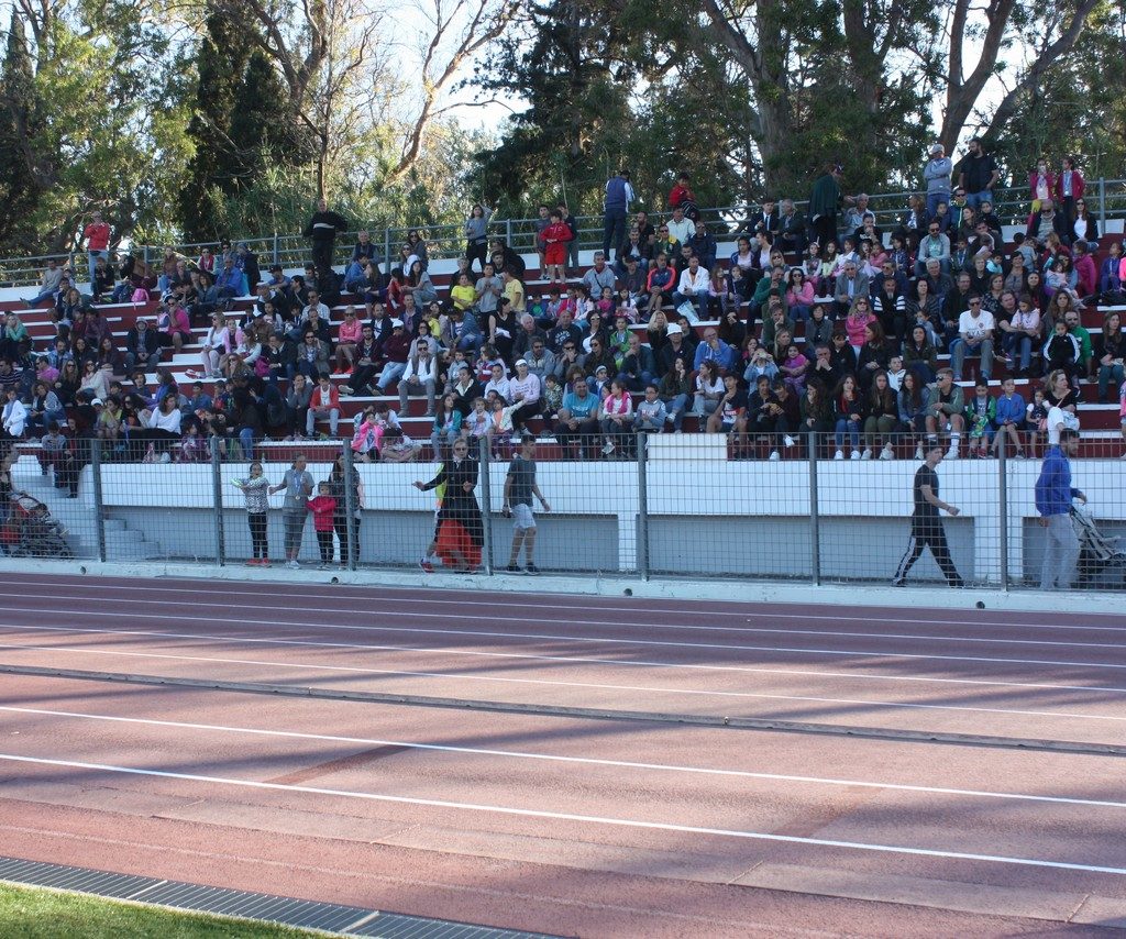 Vergoteia 201916