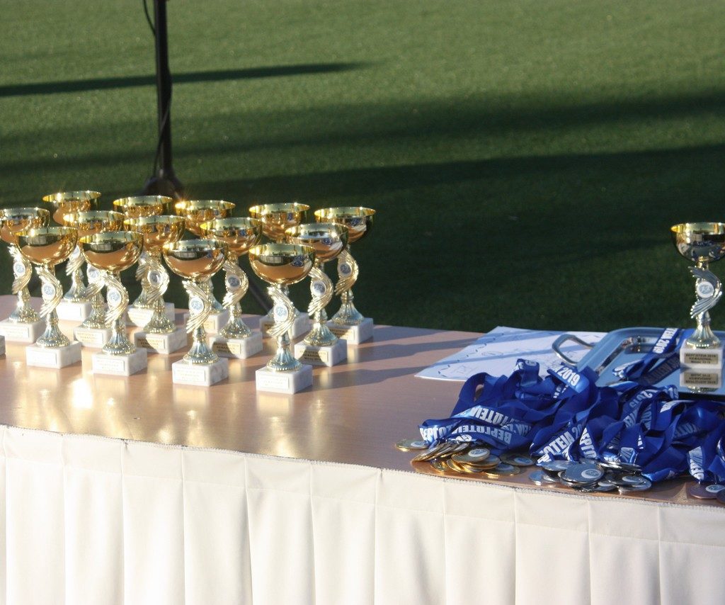 Vergoteia 201925
