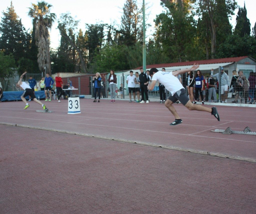 Vergoteia 201937