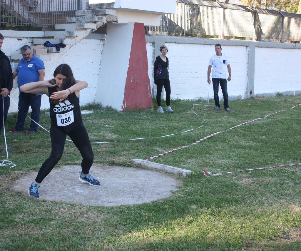 Vergoteia 20198