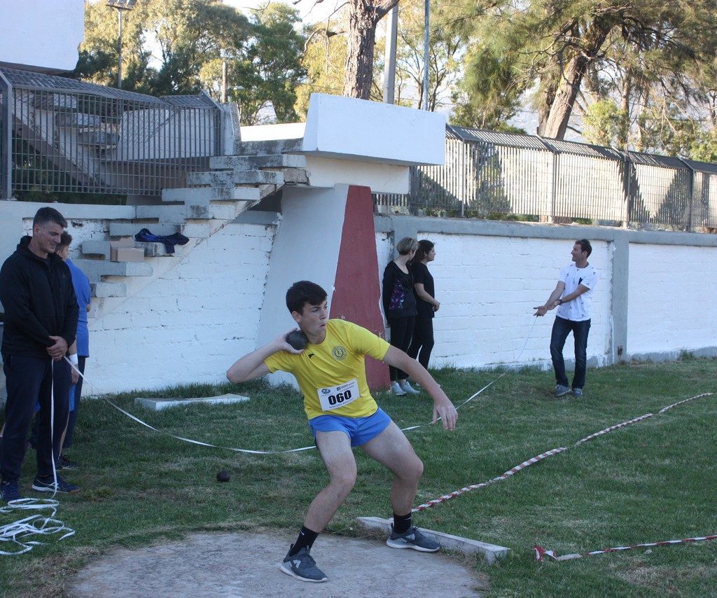 Vergoteia 20199