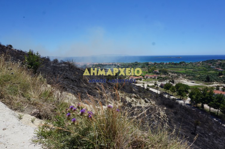 Δήμος Ληξουρίου: Η πυρκαγιά άφησε πίσω στάχτες 250 στρεμμάτων [εικόνες]