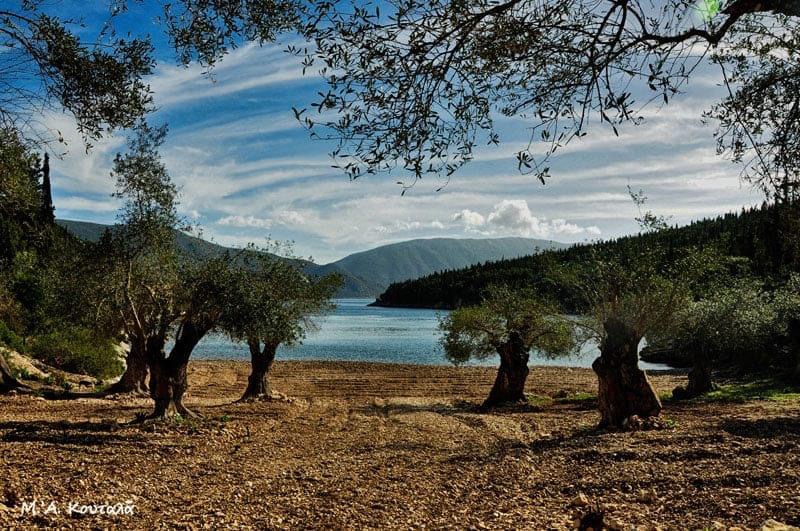 Τι και αν “πληγώθηκε”, το Φώκι παραμένει γοητευτικό για περιπλάνηση