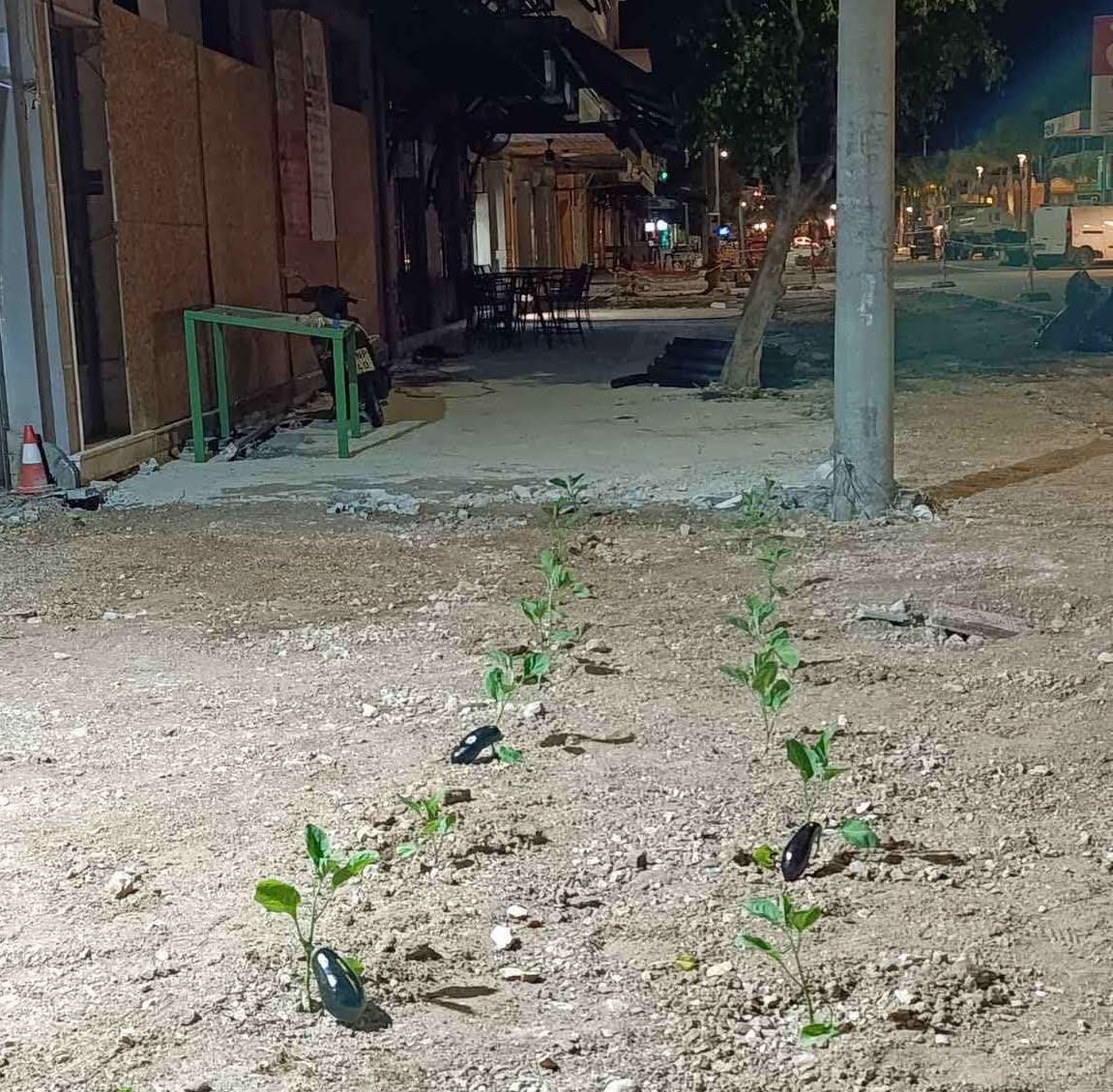 Άλλο και τούτο… Μελιτζανόκηπος στην Παραλιακή! [εικόνες]