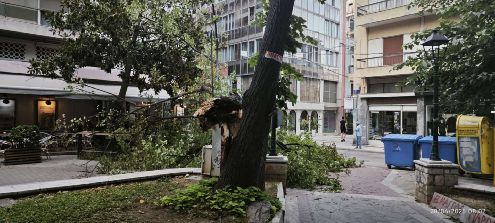 Βόλος: Ξαφνική ανεμοθύελλα ξερίζωσε δέντρα και προκάλεσε ζημιές σε οχήματα