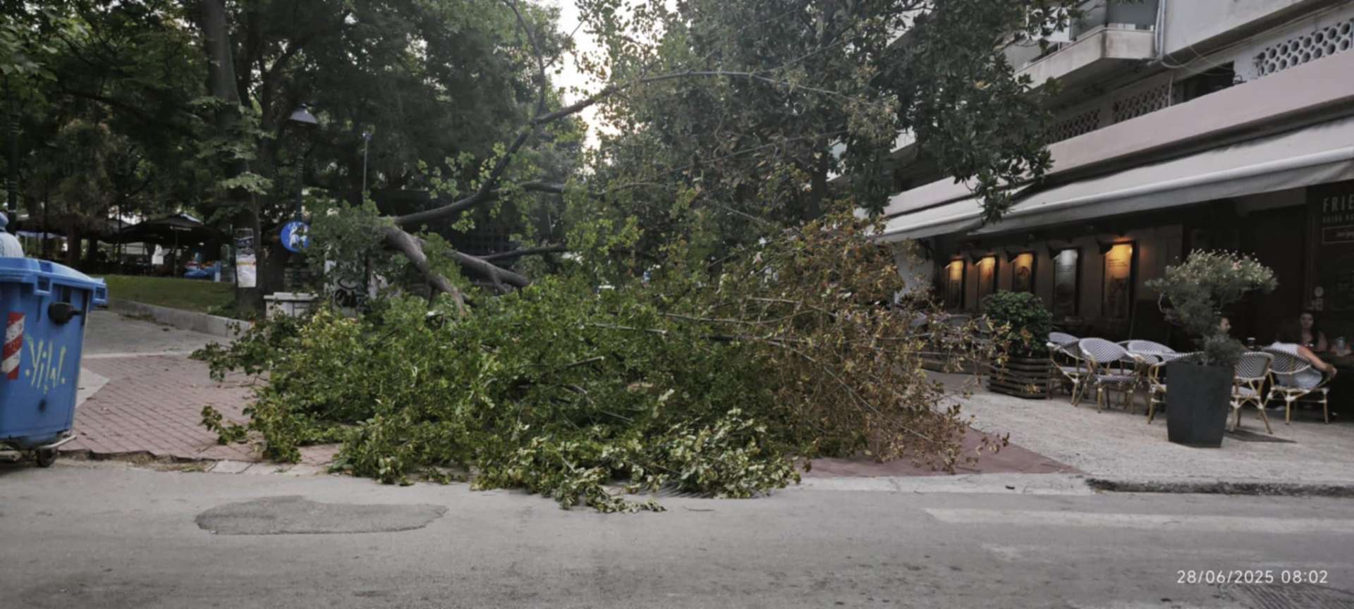 Βόλος: Ξαφνική ανεμοθύελλα ξερίζωσε δέντρα και προκάλεσε ζημιές σε οχήματα