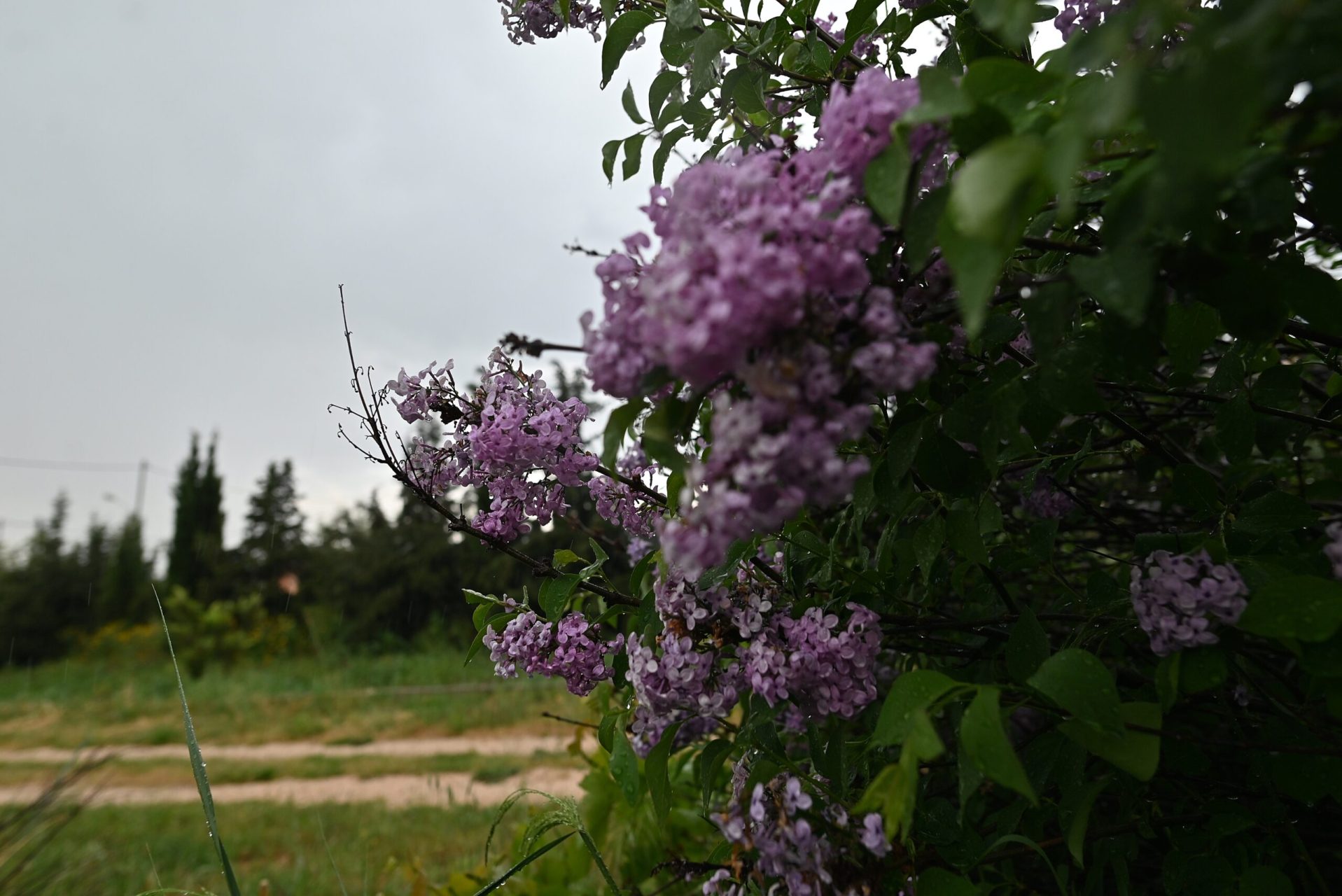 Καιρός: Έντονη η αστάθεια Παρασκευή και Σάββατο