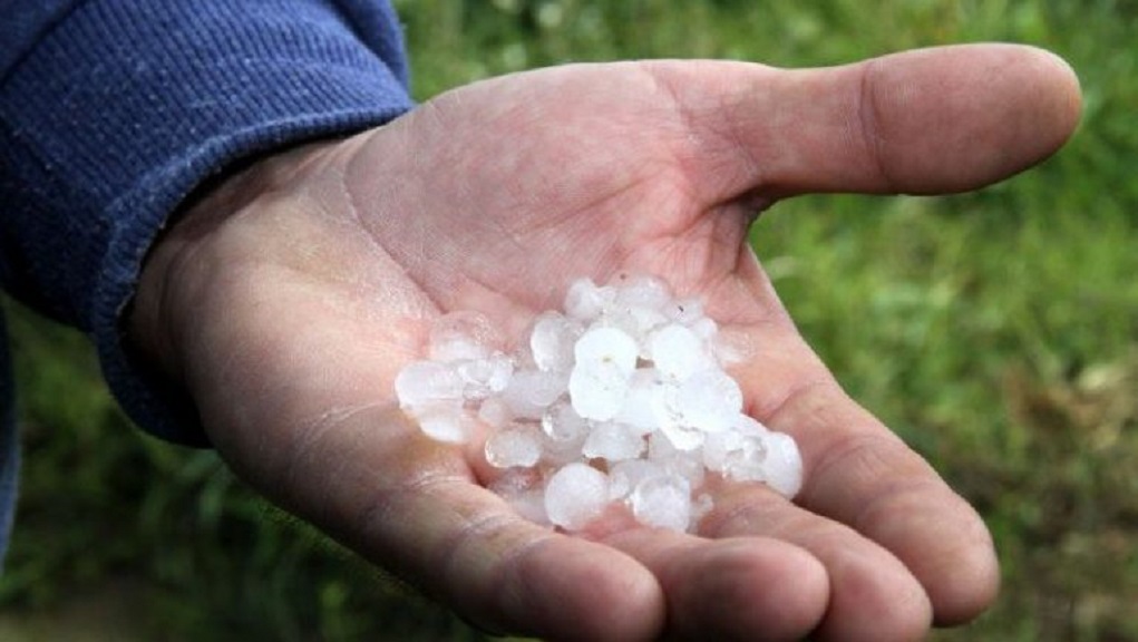 Έβρος: Έντονη χαλαζόπτωση προκάλεσε ολική καταστροφή σε καλλιέργειες στην Ορεστιάδα