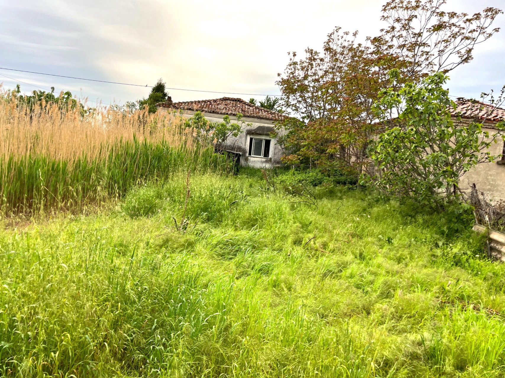 Σχεδόν 5.500 καταγγελίες για ακαθάριστα οικόπεδα – Συνεχίζονται οι έλεγχοι, πόσα πρόστιμα έχουν επιβληθεί