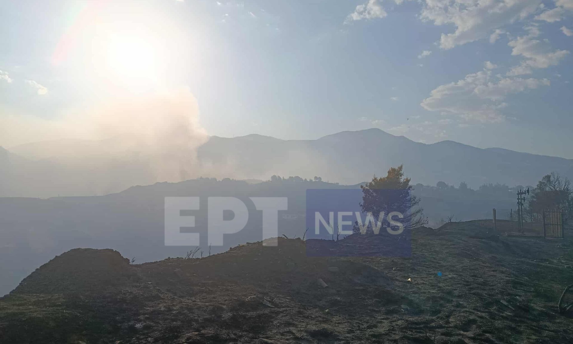 Φωτιά τώρα: Συνεχίζεται η μάχη με διάσπαρτες εστίες στην Αχαΐα – Στο Ρωμανό το ενεργό μέτωπο