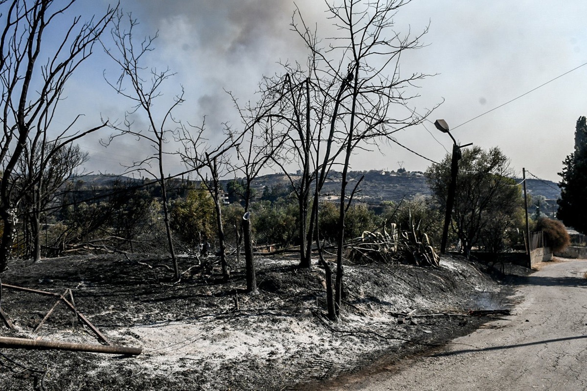 Ξάνθη: Σύλληψη υπόπτου για έντεκα πυρκαγιές στην περιοχή Γενισέα
