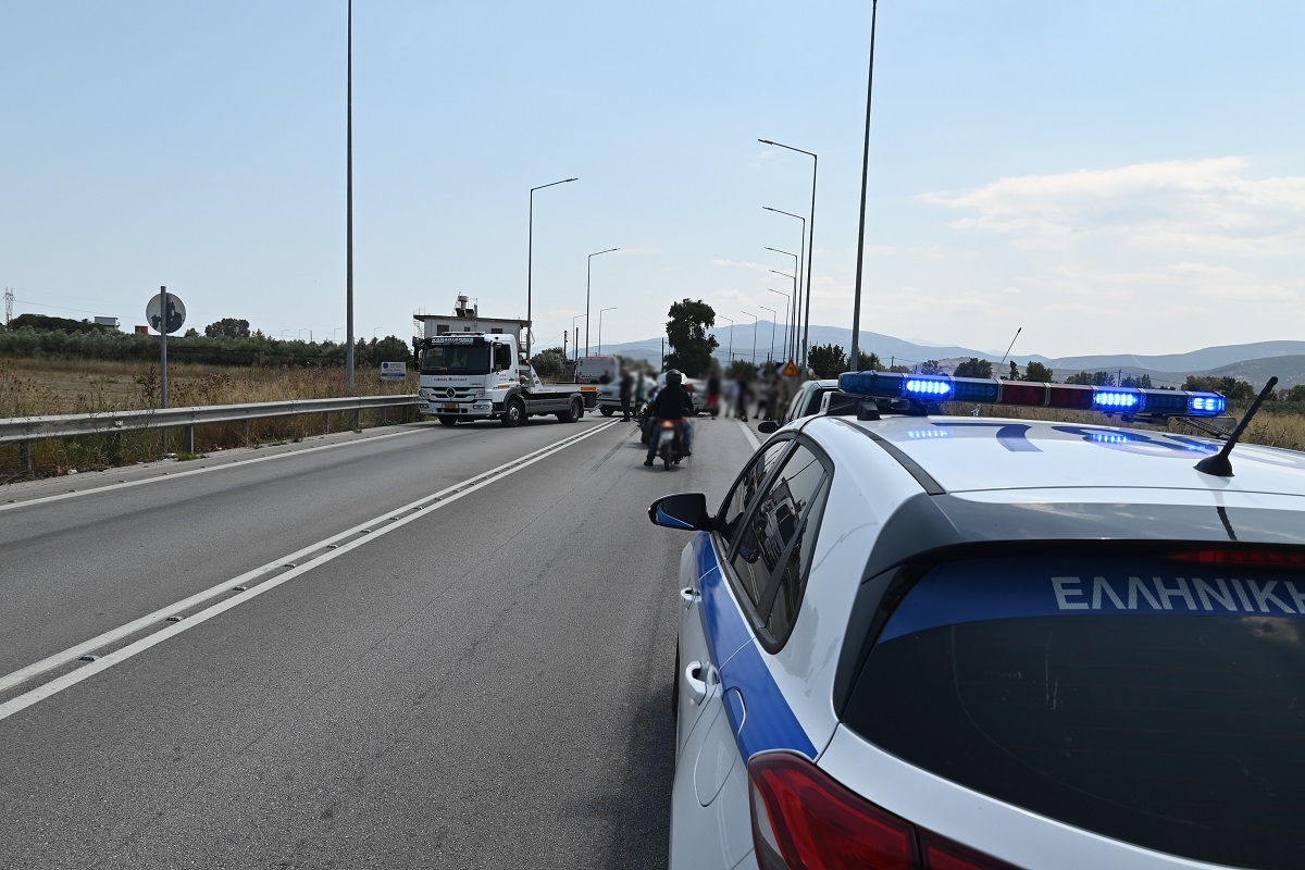 Φυτεία με πάνω από 2.000 δενδρύλλια κάνναβης εντόπισε η ΕΛΑΣ στην Κορινθία