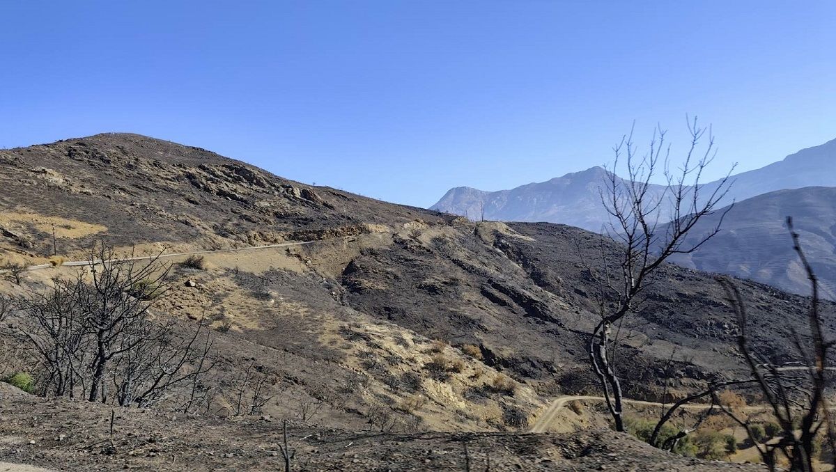 Υπουργείο Περιβάλλοντος και Ενέργειας: Ορίζει την Εθνική Τράπεζα ανάδοχο αποκατάστασης των καμένων εκτάσεων στη Χίο